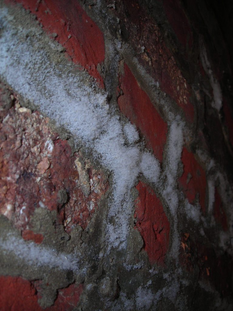 masse type coton blanc sur mo mur humide de cave