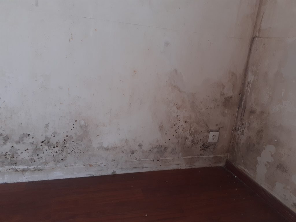 éliminer les moisissures dans un logement humide et trouver le traitement contre l'humidité pour sécher les murs moisis