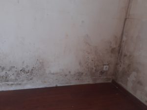 éliminer les moisissures dans un logement humide et trouver le traitement contre l'humidité pour sécher les murs moisis