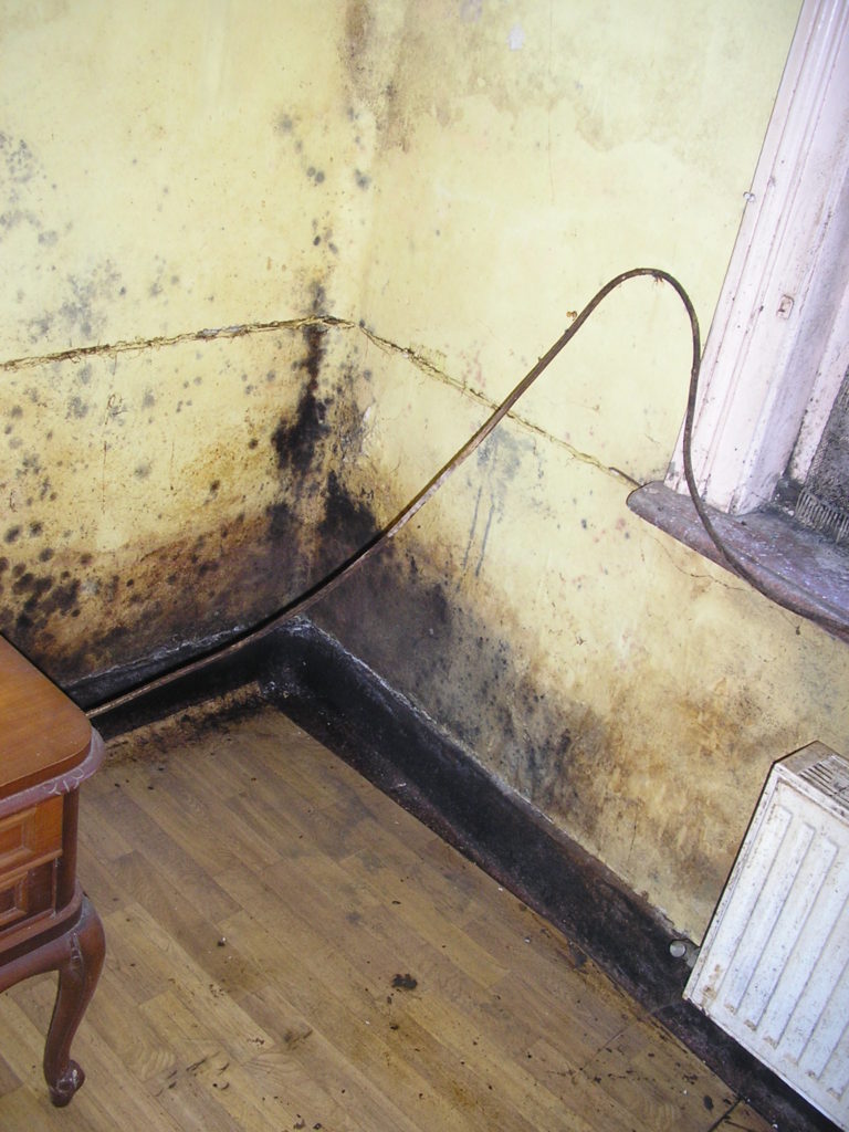 Diagnostic de l"humidité d'un logement et choix du traitement sur lille ou comment lutter contre les moisissures des murs et plafond