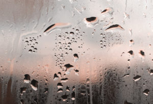 comment éliminer la condensation sur les fenêtre et les moisissures des murs dans une maison très humide