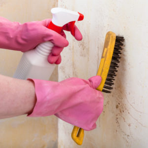 moisissure sur les murs d'une maison, comment nettoyer et retirer l'humidité