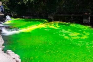 utilisation de colorant fluorescent pour tracer le passage de l'eau et des infiltrations à l'aide de fluorescéine