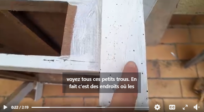 les insectes xylophages sont des destructeurs du bois. les larves des insectes xylophages mangent le bois pour grandir et se développer