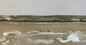 les plinthes ont des moisissures à l'arrière. L'humidité permet le développement de moisissures