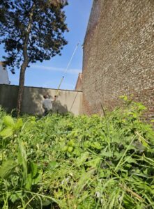 hydrofuger un mur trop poreux. le mur absorbe trop rapidement l'humidité qui provoque des moisissures à l'intérieur de la maison. il faut utiliser un hydrofuge de qualité pour empêcher l'eau de rentrer dans le mur