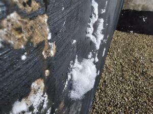 un mur humide a souvent du salpêtre en surface. on appelle aussi le salpêtre sels minéraux