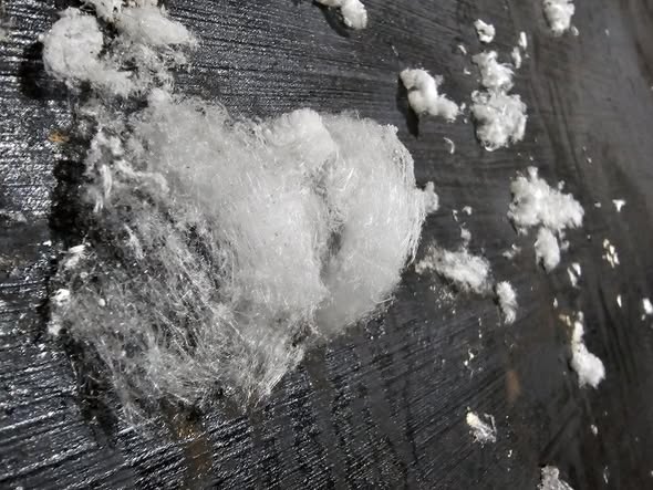 le salpetre est une espèce de poudre blanche, ce sont des filaments de minéraux. le salpetre est aussi appelé sels minéraux.