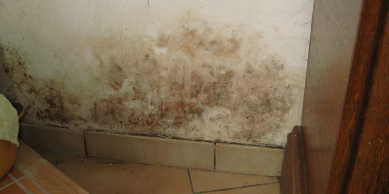 bas de mur humide avec moisissures sur un mur ayant des remontées capillaires près de lille