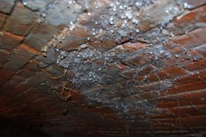 Des gouttes d'eau au plafond de la cave ? la condensation entraine des problèmes d'humidité, des champignons et des moisissures dans le logement