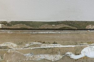 les plinthes ont des moisissures à l'arrière. L'humidité permet le développement de moisissures