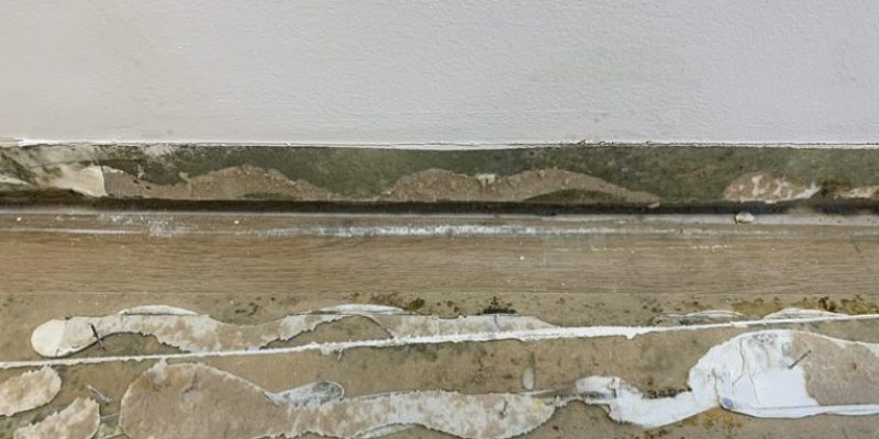 les plinthes ont des moisissures à l'arrière. L'humidité permet le développement de moisissures