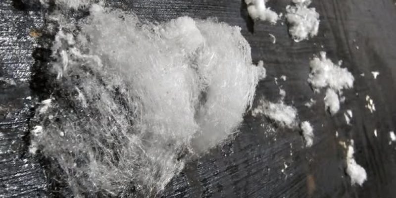 le salpetre est une espèce de poudre blanche, ce sont des filaments de minéraux. le salpetre est aussi appelé sels minéraux.